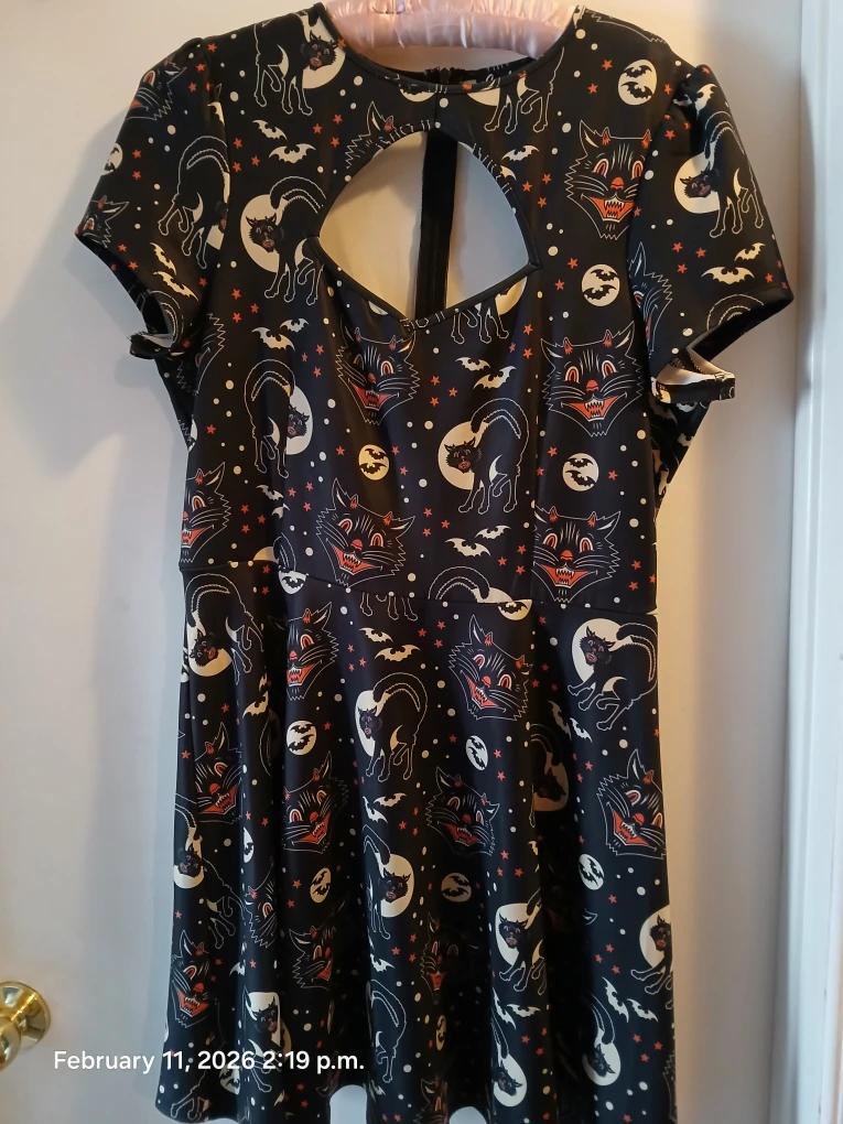 🏆  Sourpuss Halloween Dress XL