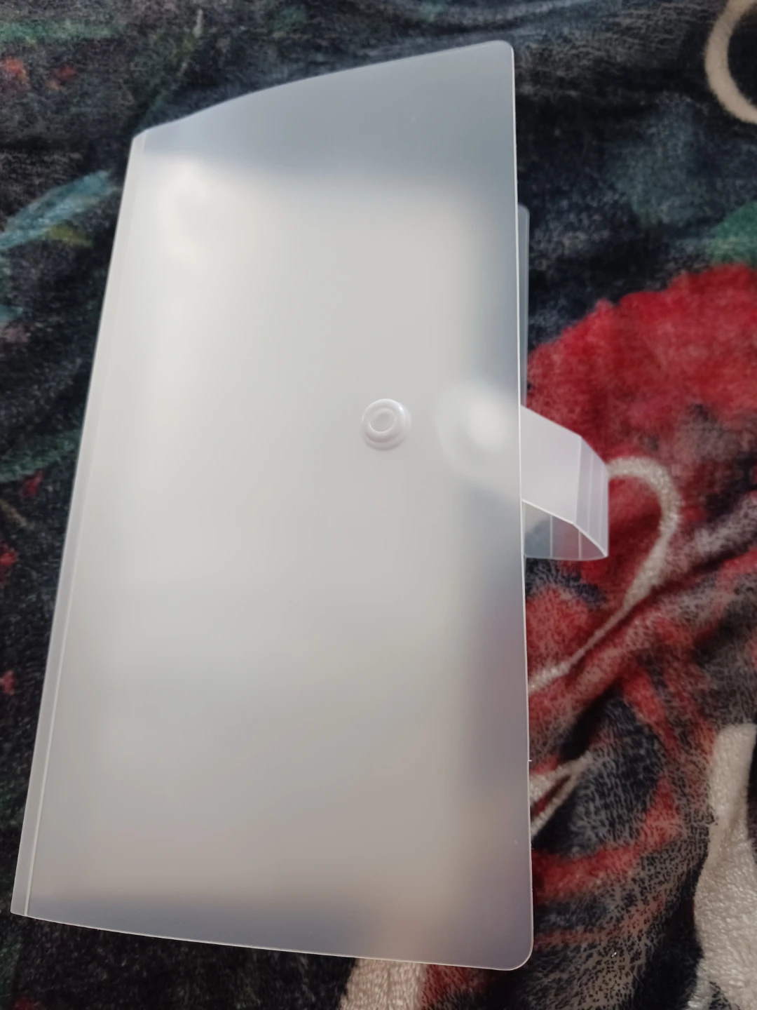 Clear Plastic Photo/Card Holder Binder