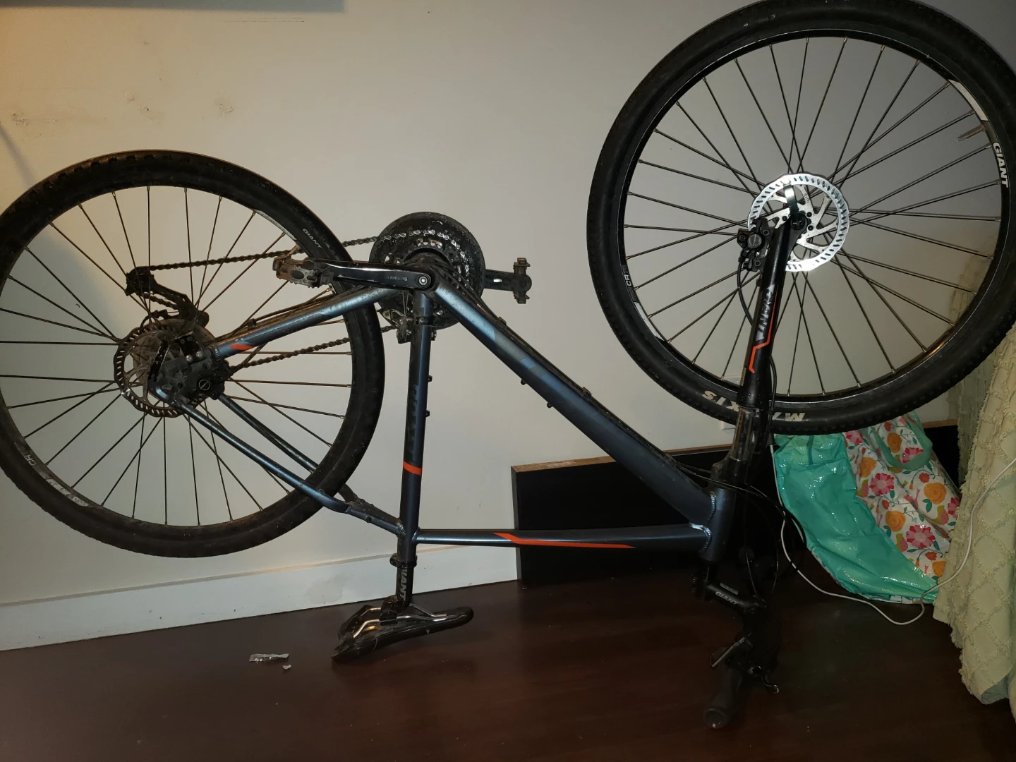 Giant roam 1 Mountain Bike