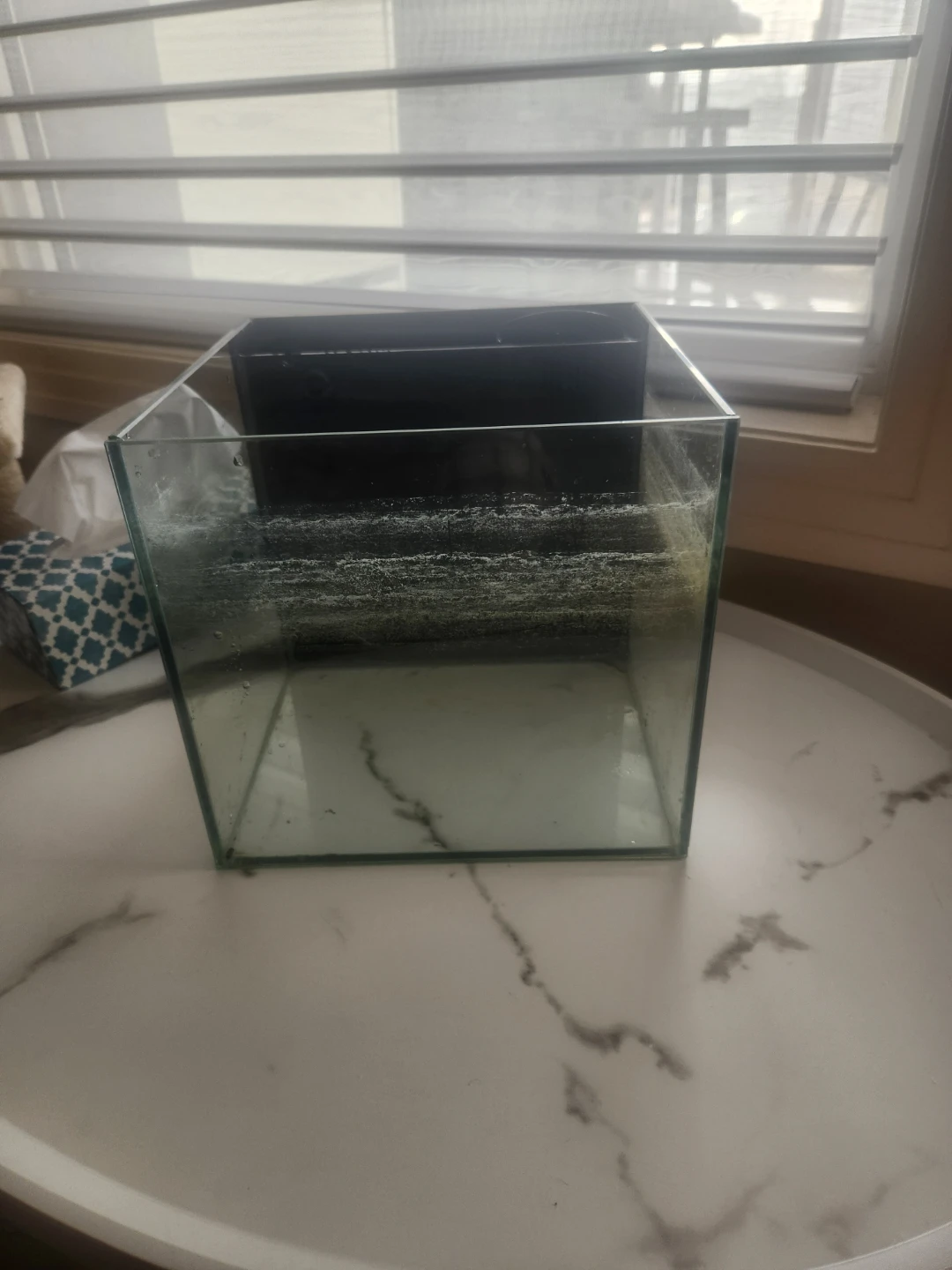 10 Gallon Glass Fish Tank with a small decoration