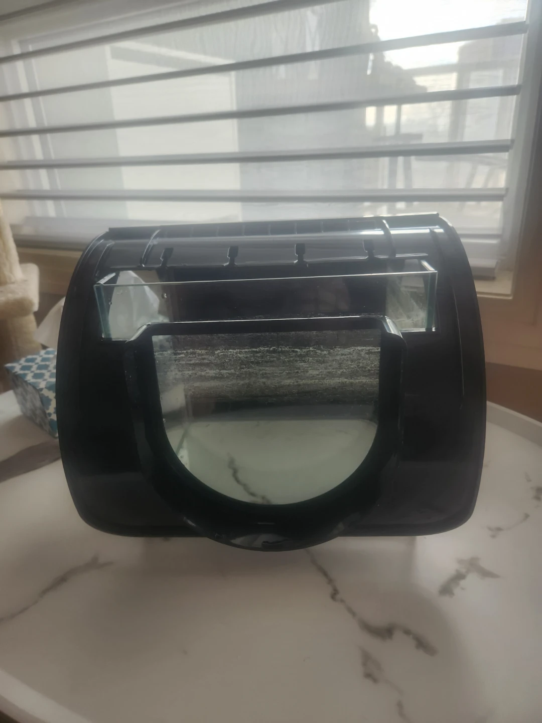 10 Gallon Glass Fish Tank with a small decoration - photo 2