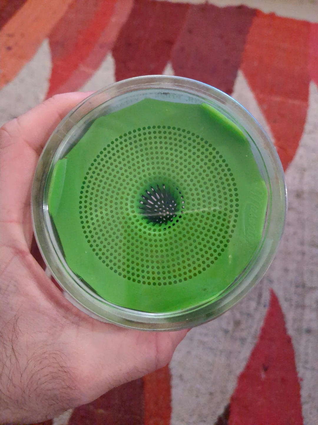 Masons Tops Bean Screen Sprouting Lids - photo 4