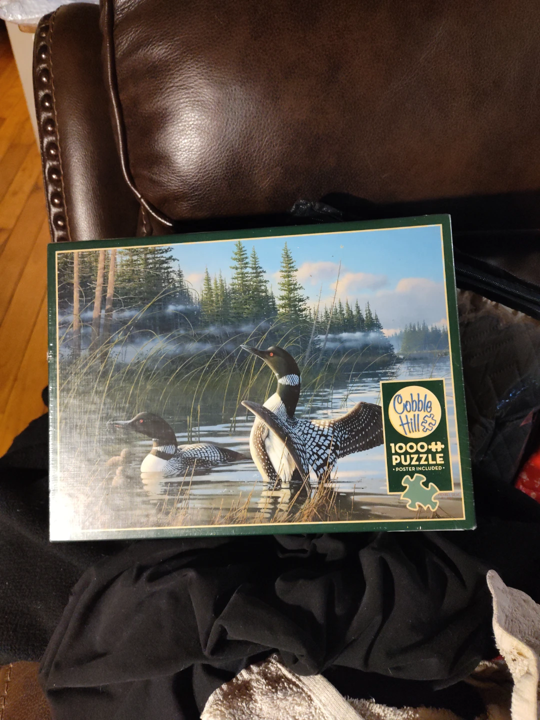 Cobble Hill 1000 Piece Loon Puzzle Factory  sealed