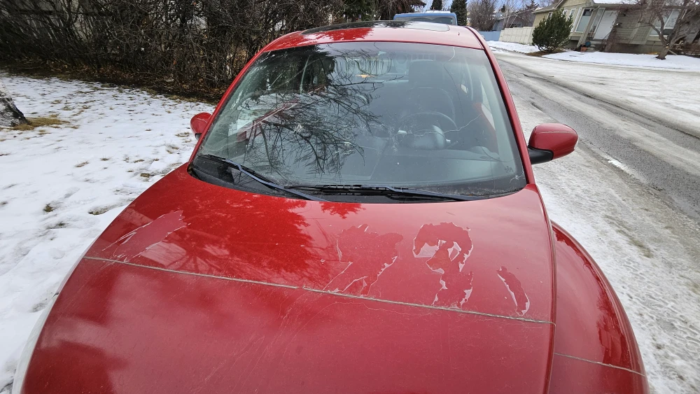 2006 Red Volkswagen Beetle - photo 5