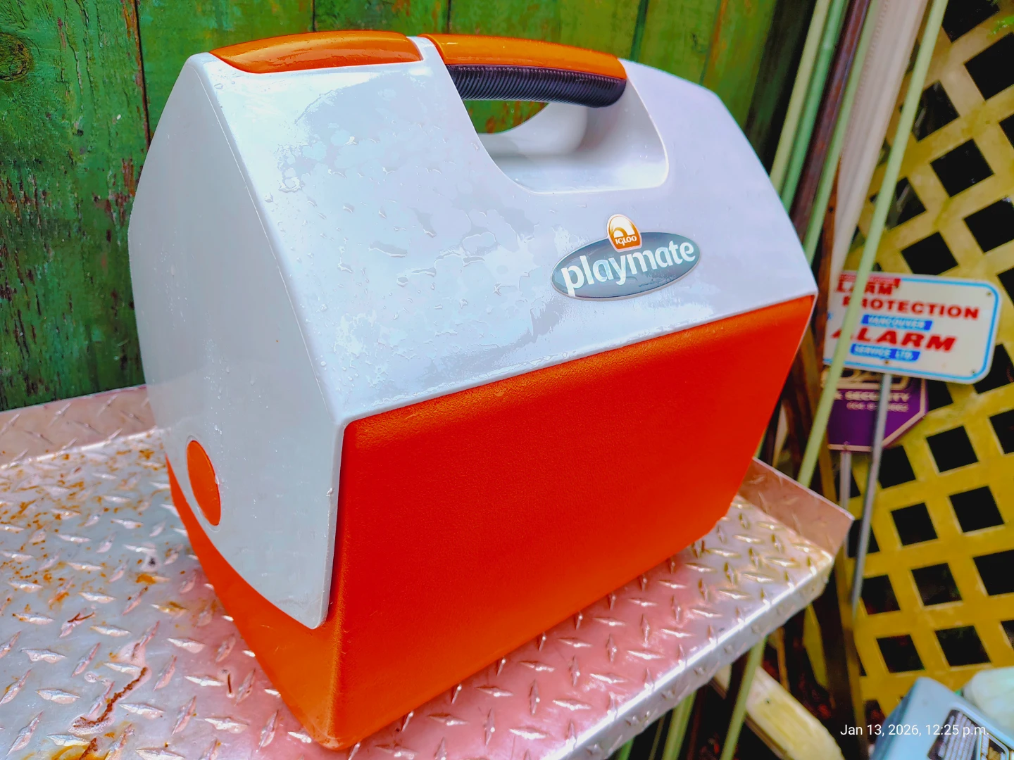IGLOO PLAYMATE 16 Qt Picnic/Lunch Cooler