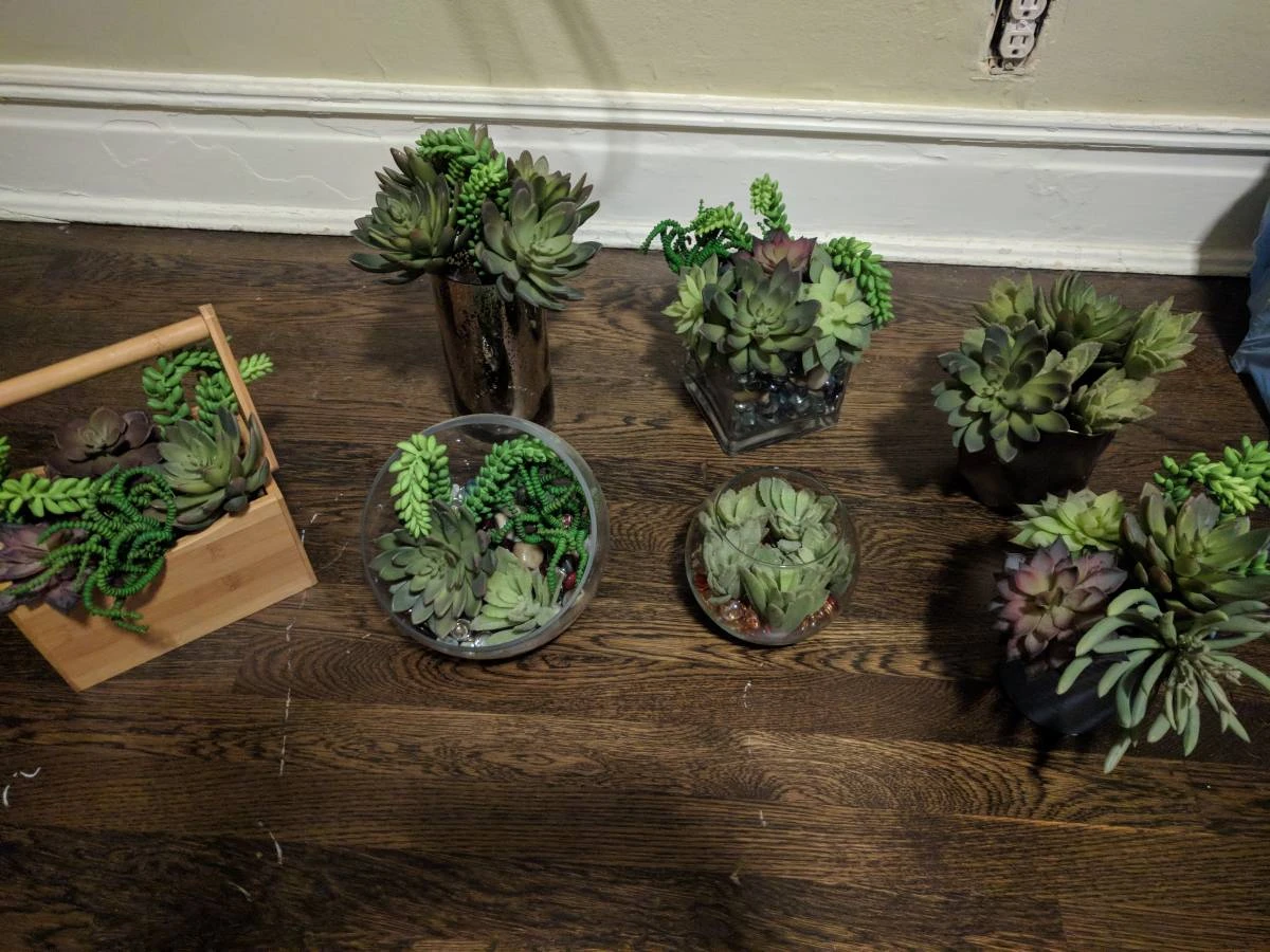 Assorted 7 Artificial Succulents in Planters