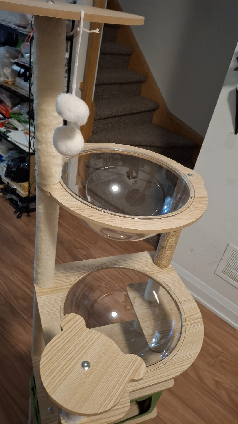 Multi-level Cat Tree with Hammocks and Condo 🥕 - photo 5