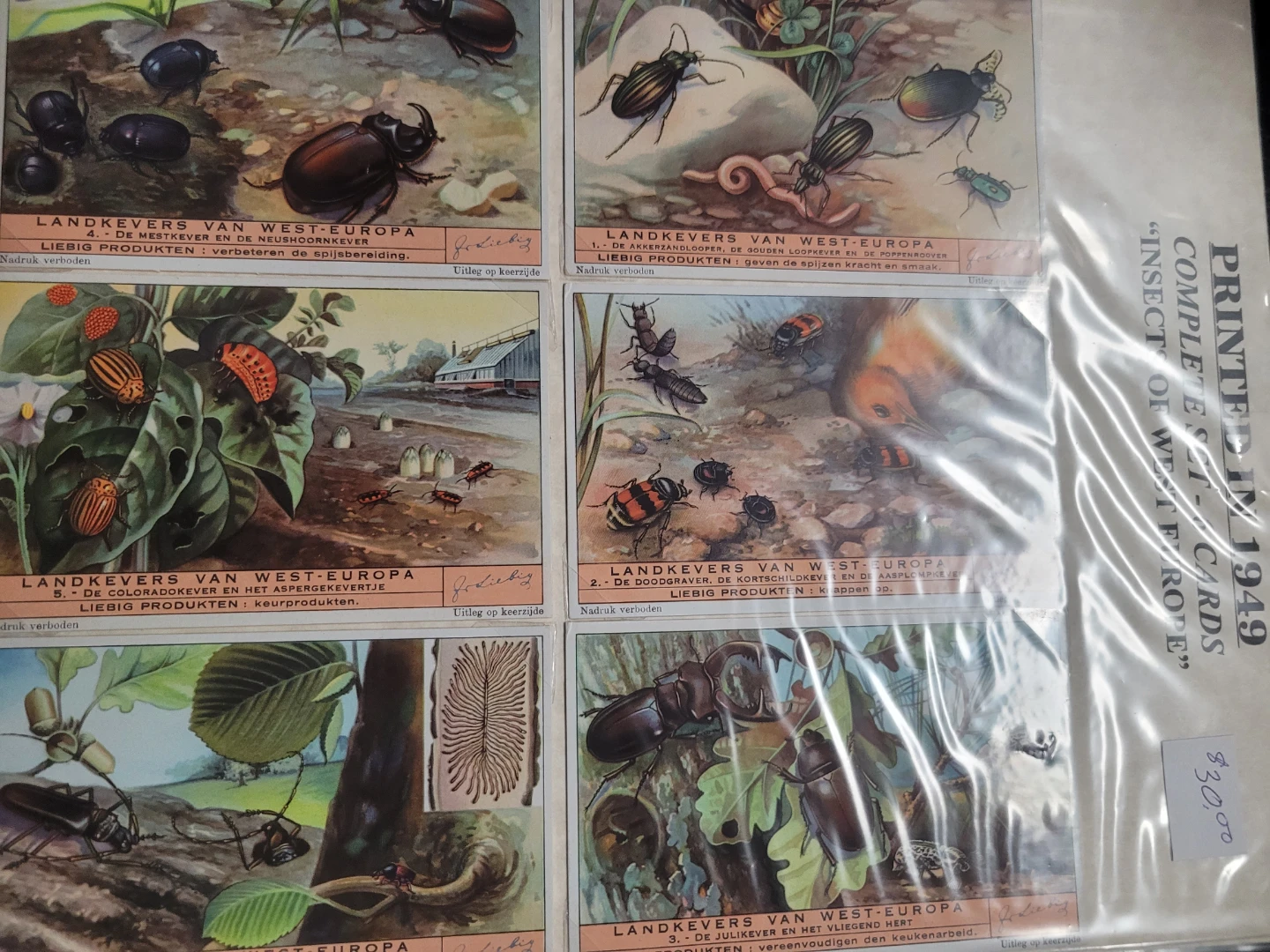 8 set 1949 48 47 Liebig" chromolithograph trade cards - photo 2