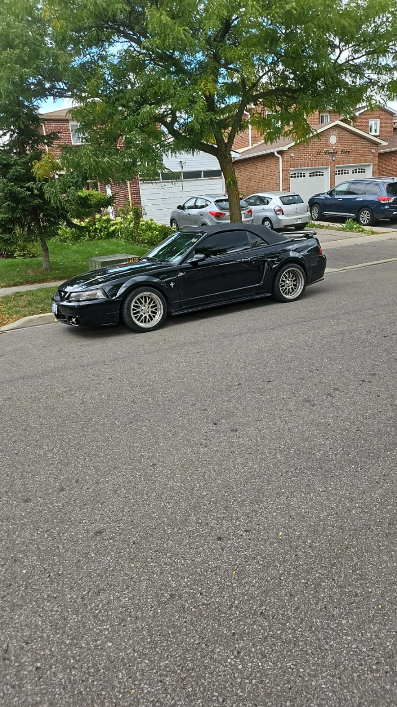 2002 Black Ford Mustang Convertible