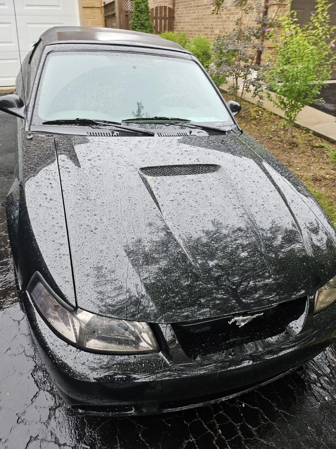 2002 Black Ford Mustang Convertible - photo 3