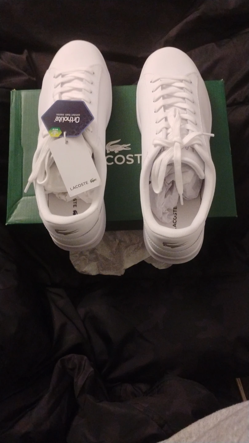 Lacoste sneakers brand new
