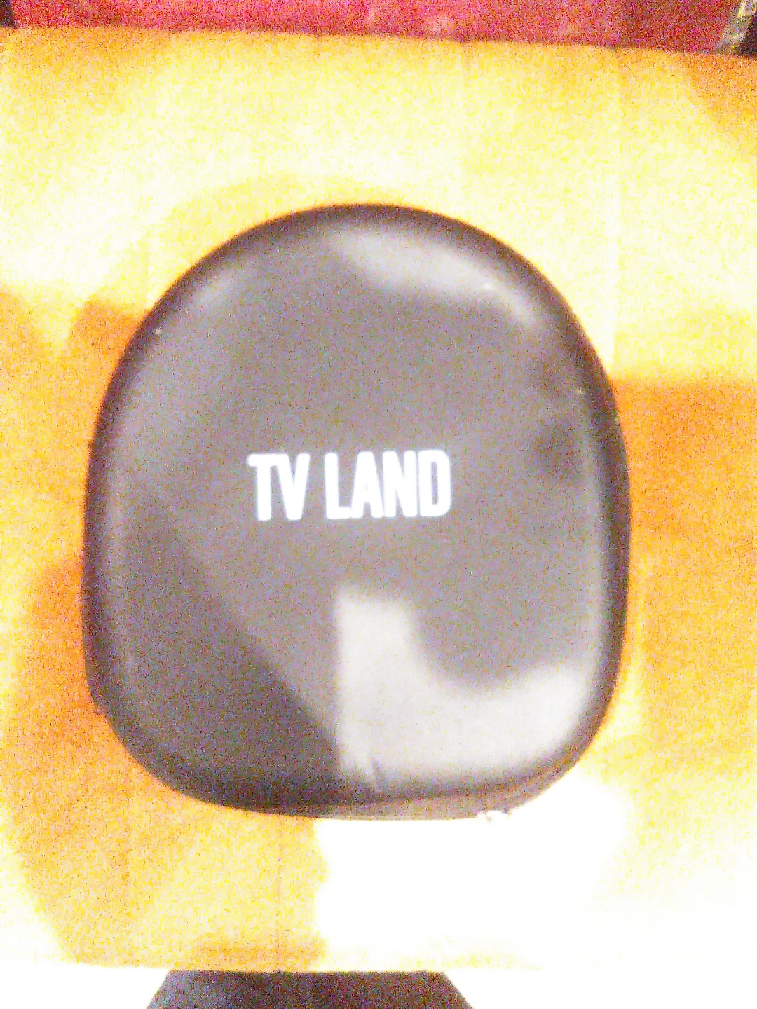 TV LAND Headphones with Case