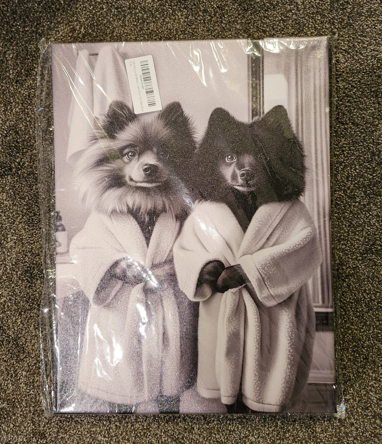 Canvas Wall Art Print with Dogs in Robes