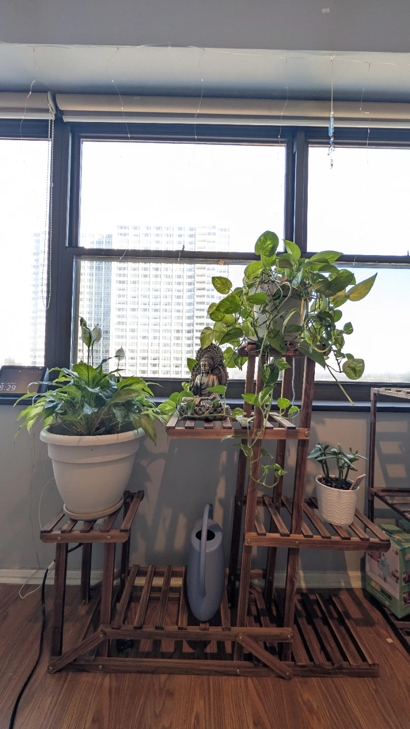 Wooden Plant Multi-Tiered Stand - 2 count