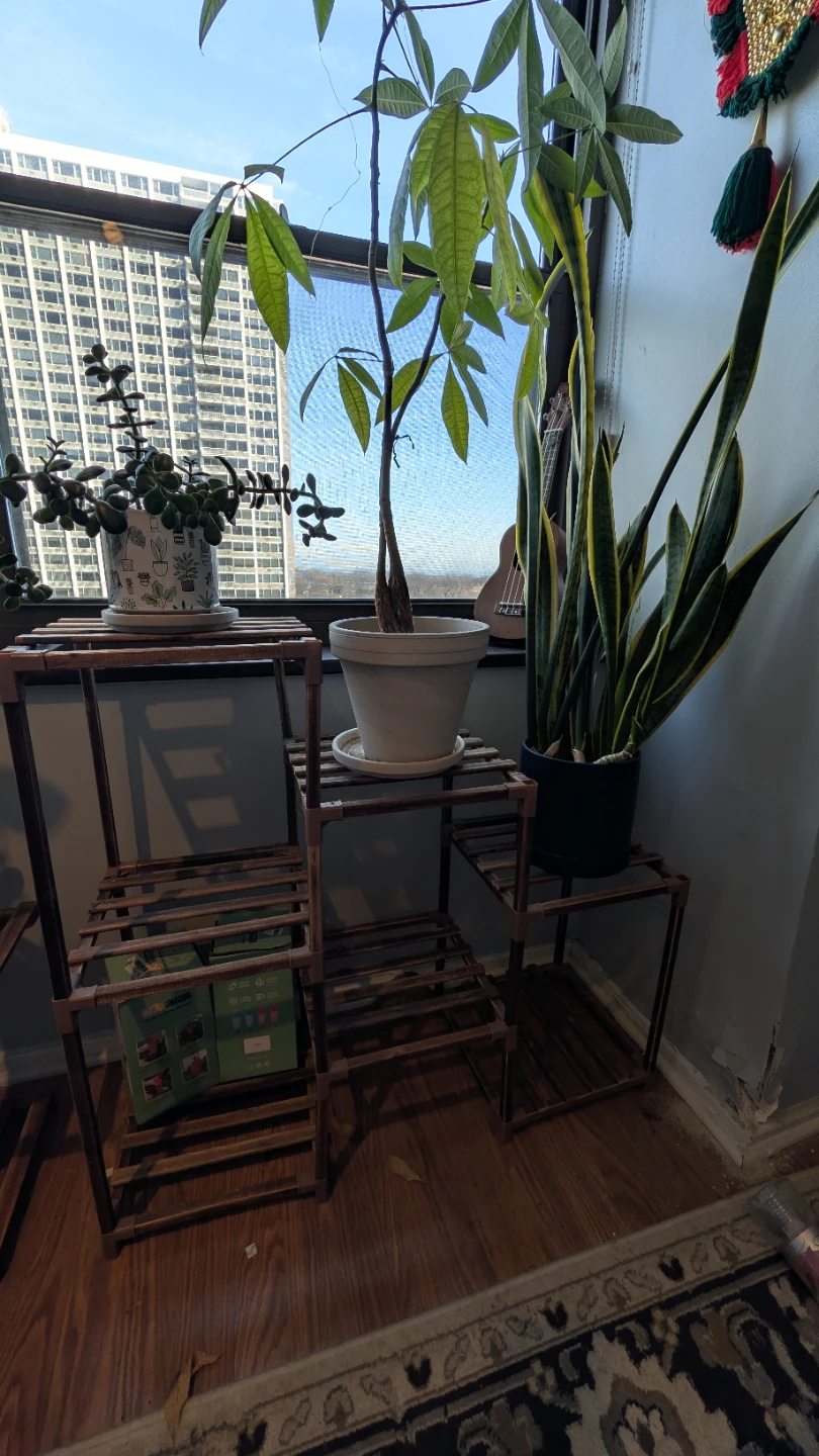 Wooden Plant Multi-Tiered Stand - 2 count - photo 2