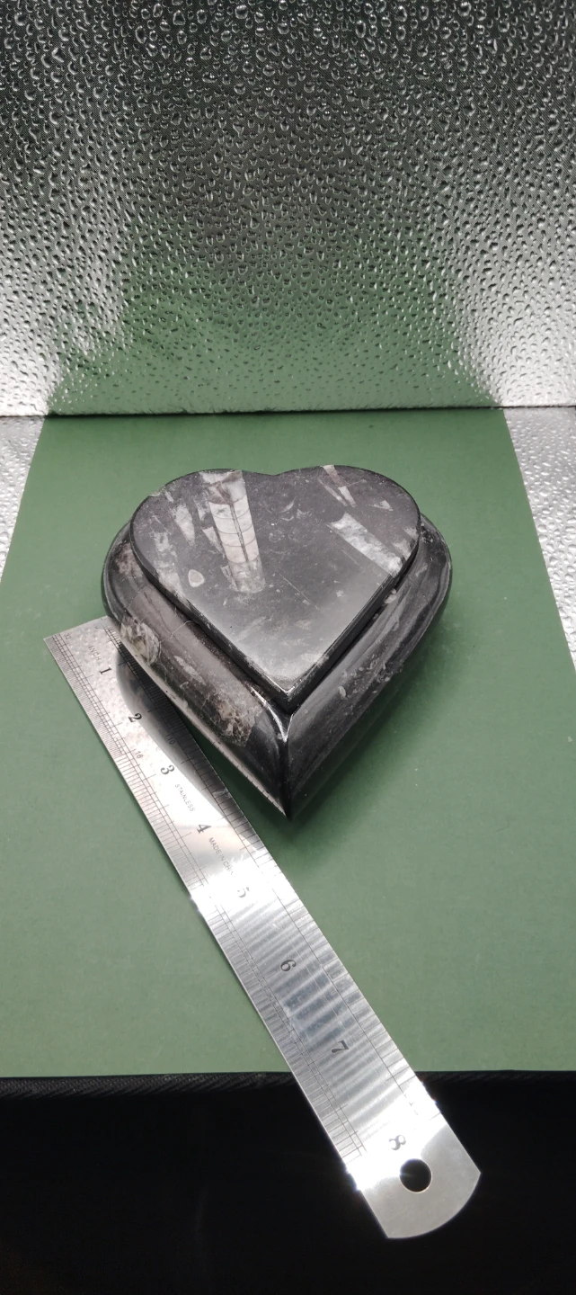 Heart Shaped orthoceras fossil Trinket Box
