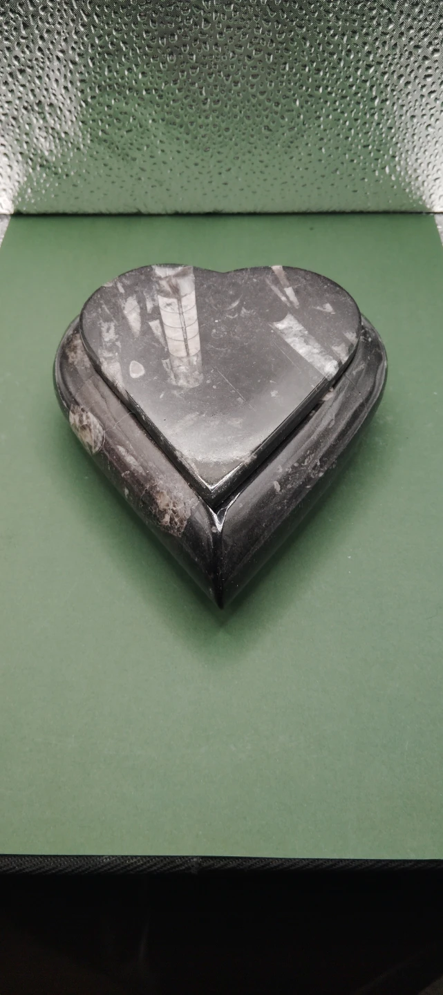 Heart Shaped orthoceras fossil Trinket Box - photo 2