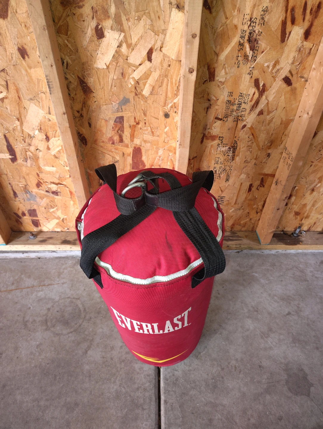 Everlast Red Punching Bag