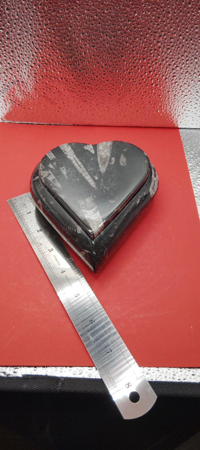 Heart Shaped orthoceras Fossil Stone Trinket Box