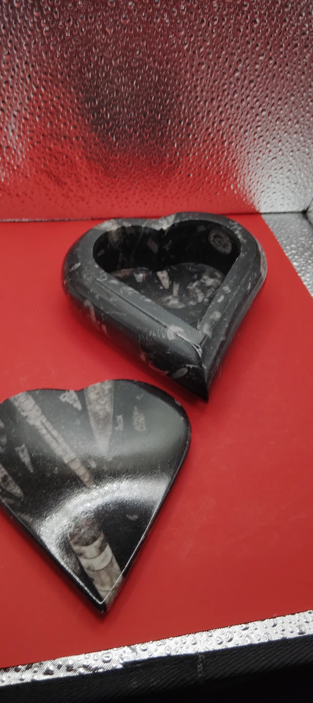 Heart Shaped orthoceras Fossil Stone Trinket Box - photo 3