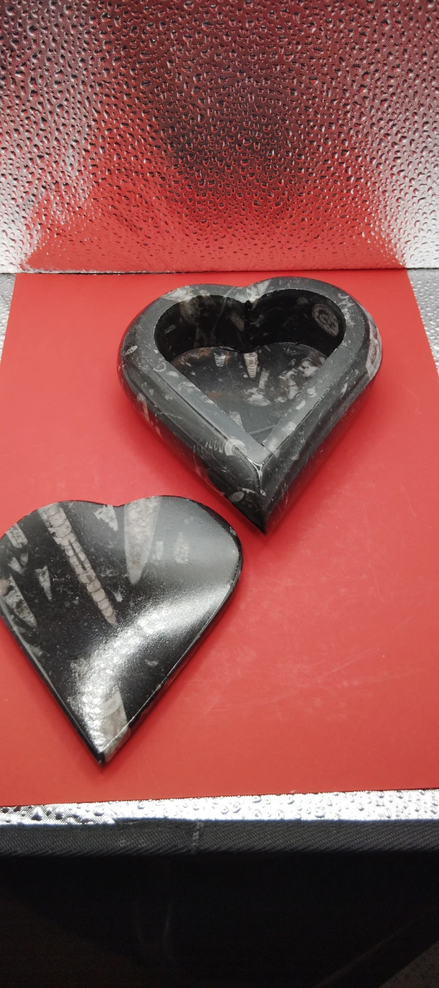 Heart Shaped orthoceras Fossil Stone Trinket Box - photo 4