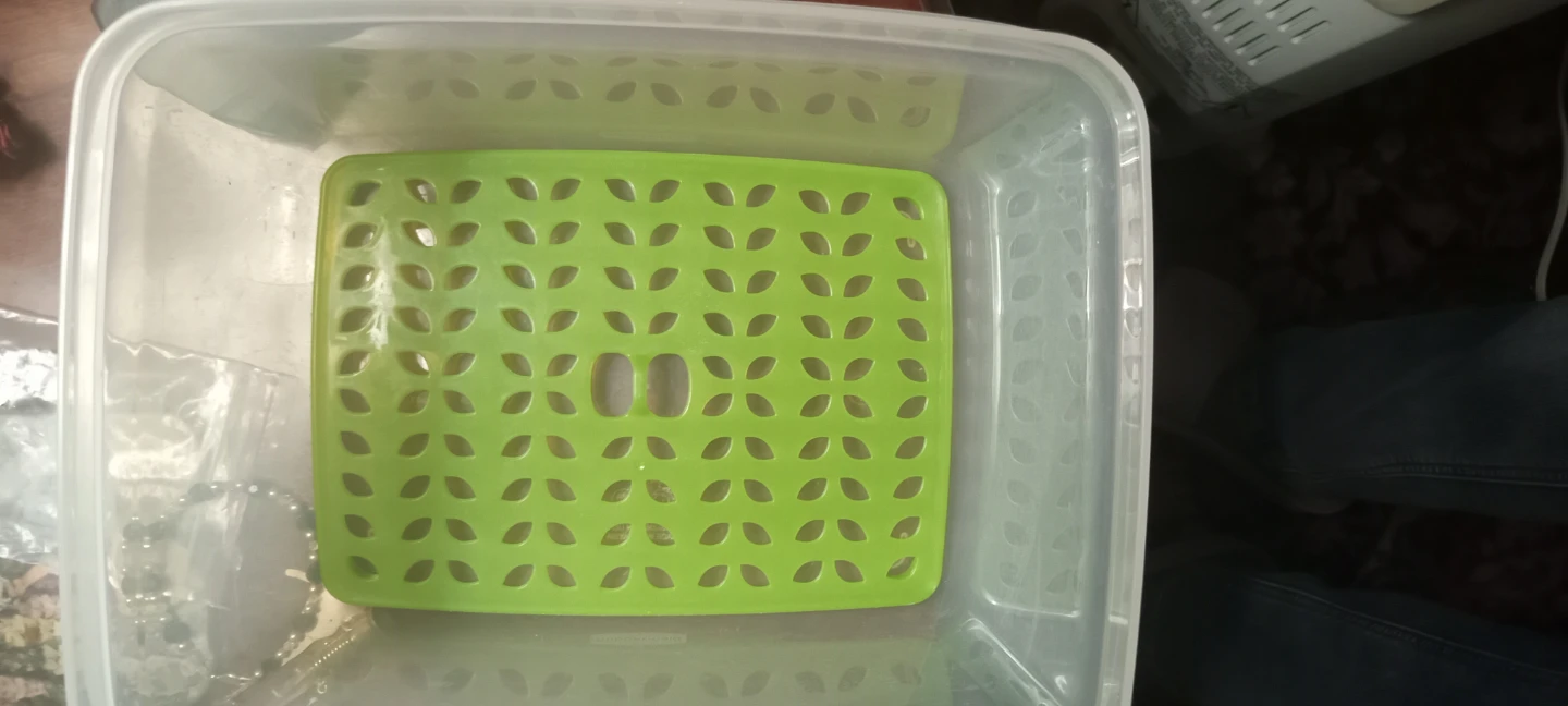 FreshVent Produce Container - photo 2