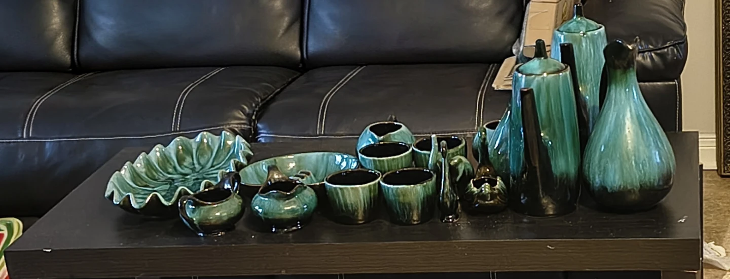 🥕Blue mountain pottery