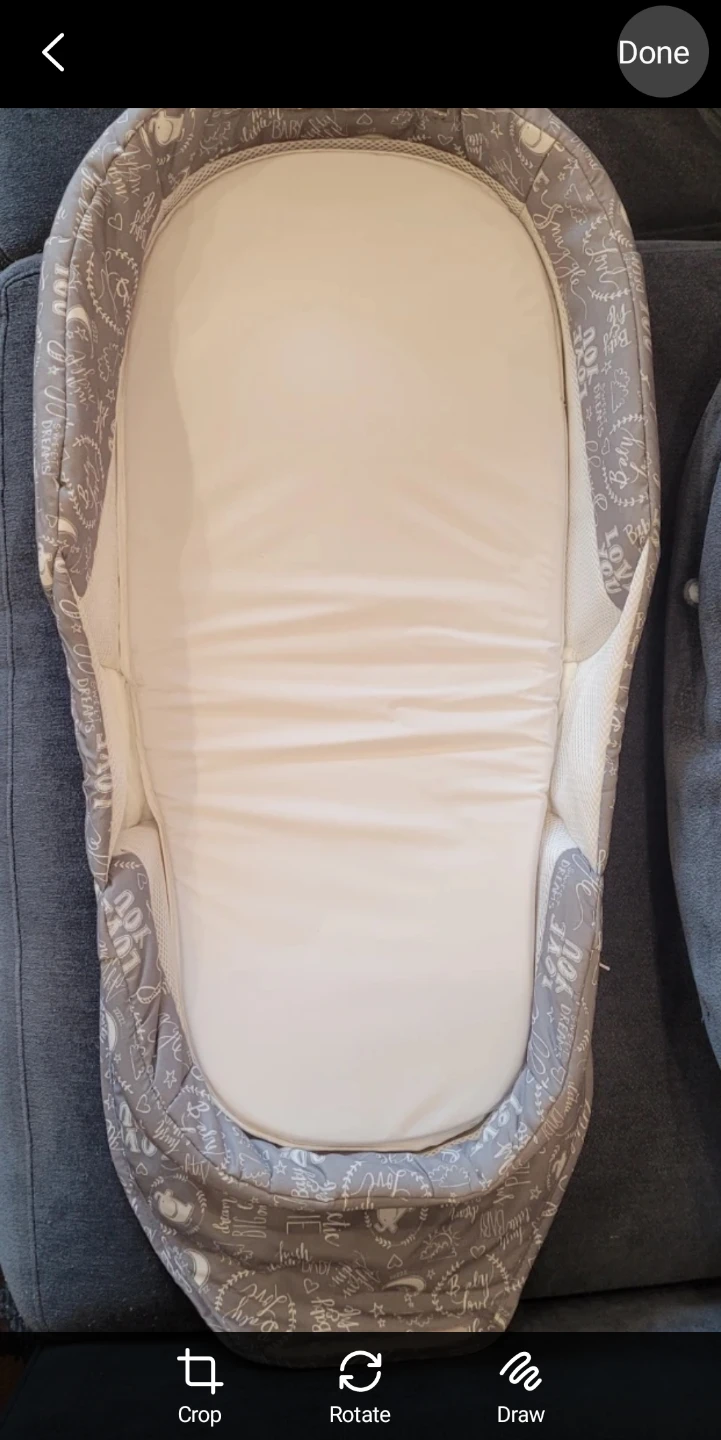 Baby Lounger / Sleep N Play Portable Bassinet