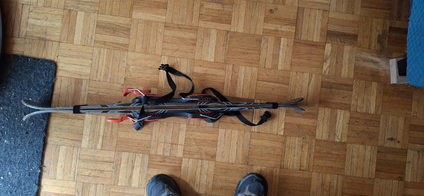 Firefly Ski Bag with Skiis - photo 2
