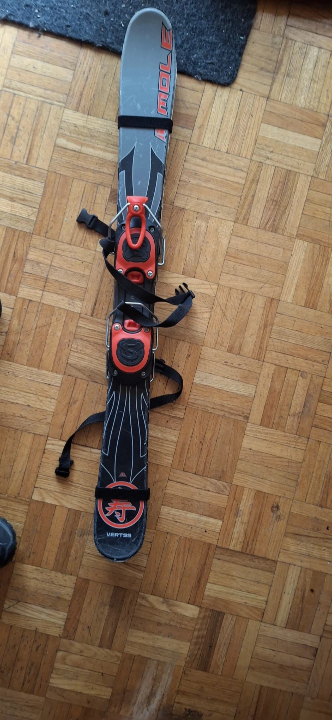 Firefly Ski Bag with Skiis - photo 3