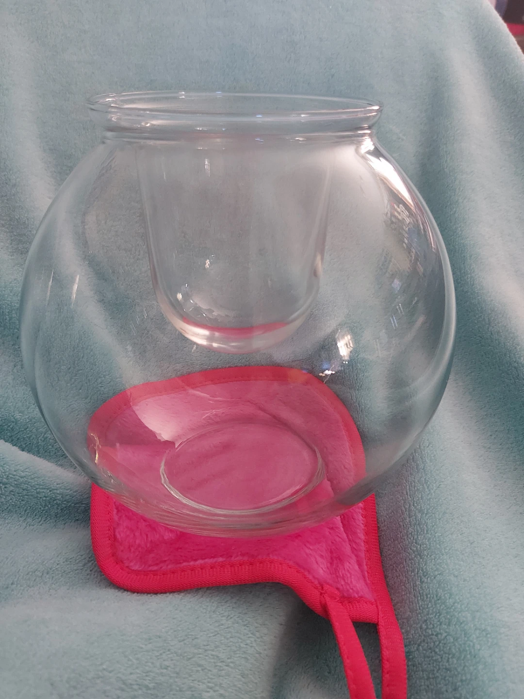 Glass Terrarium with Insert