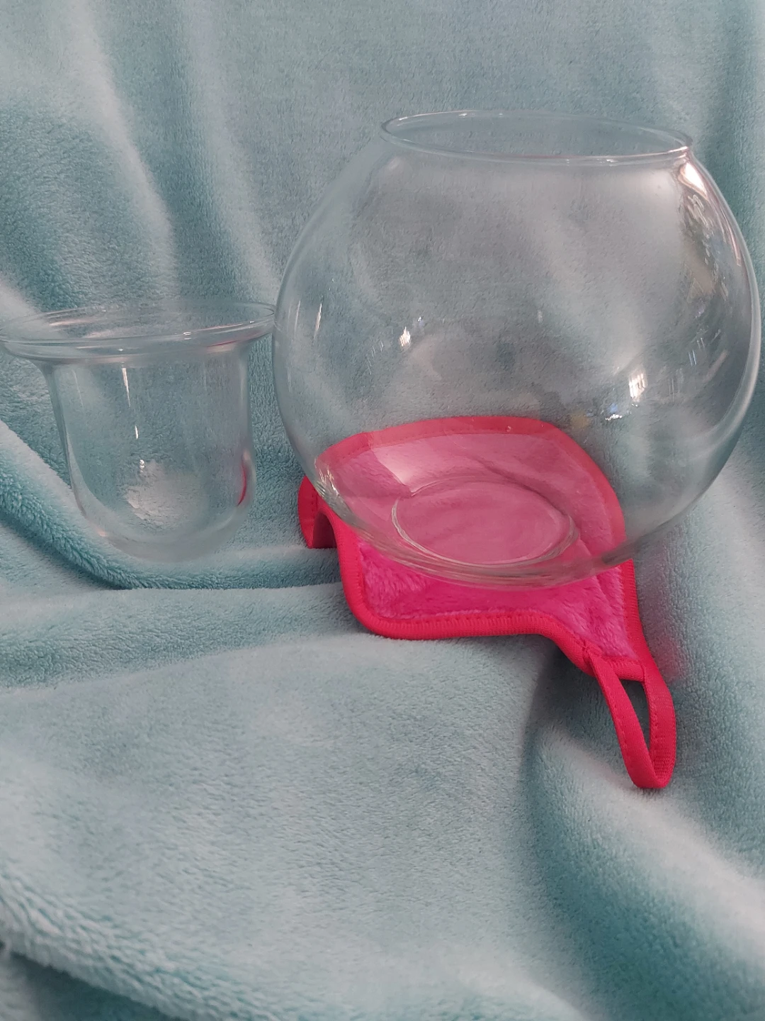Glass Terrarium with Insert - photo 2
