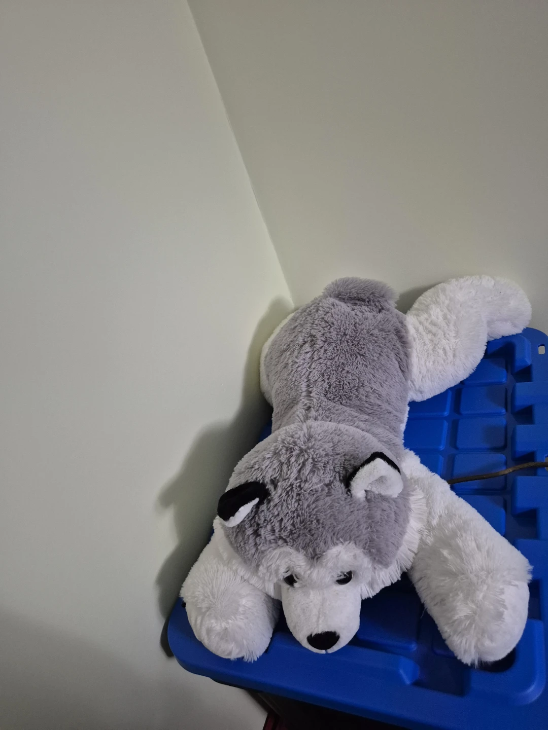 Plush Husky Stuffed Animal
