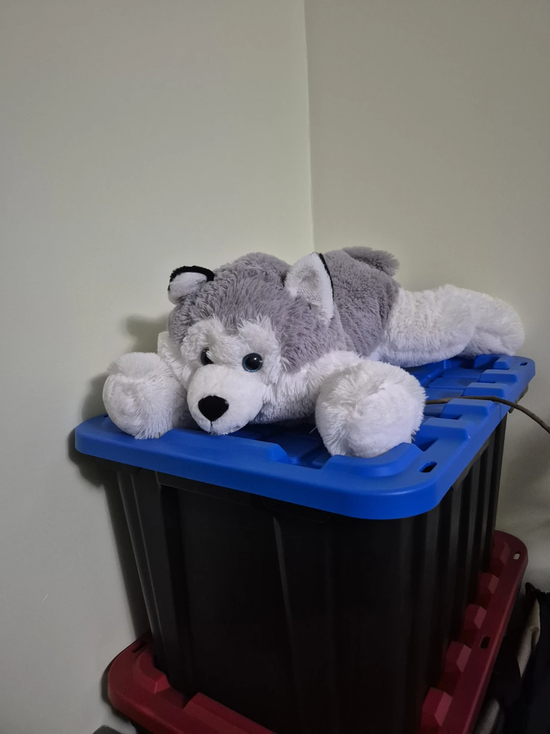 Plush Husky Stuffed Animal - photo 2