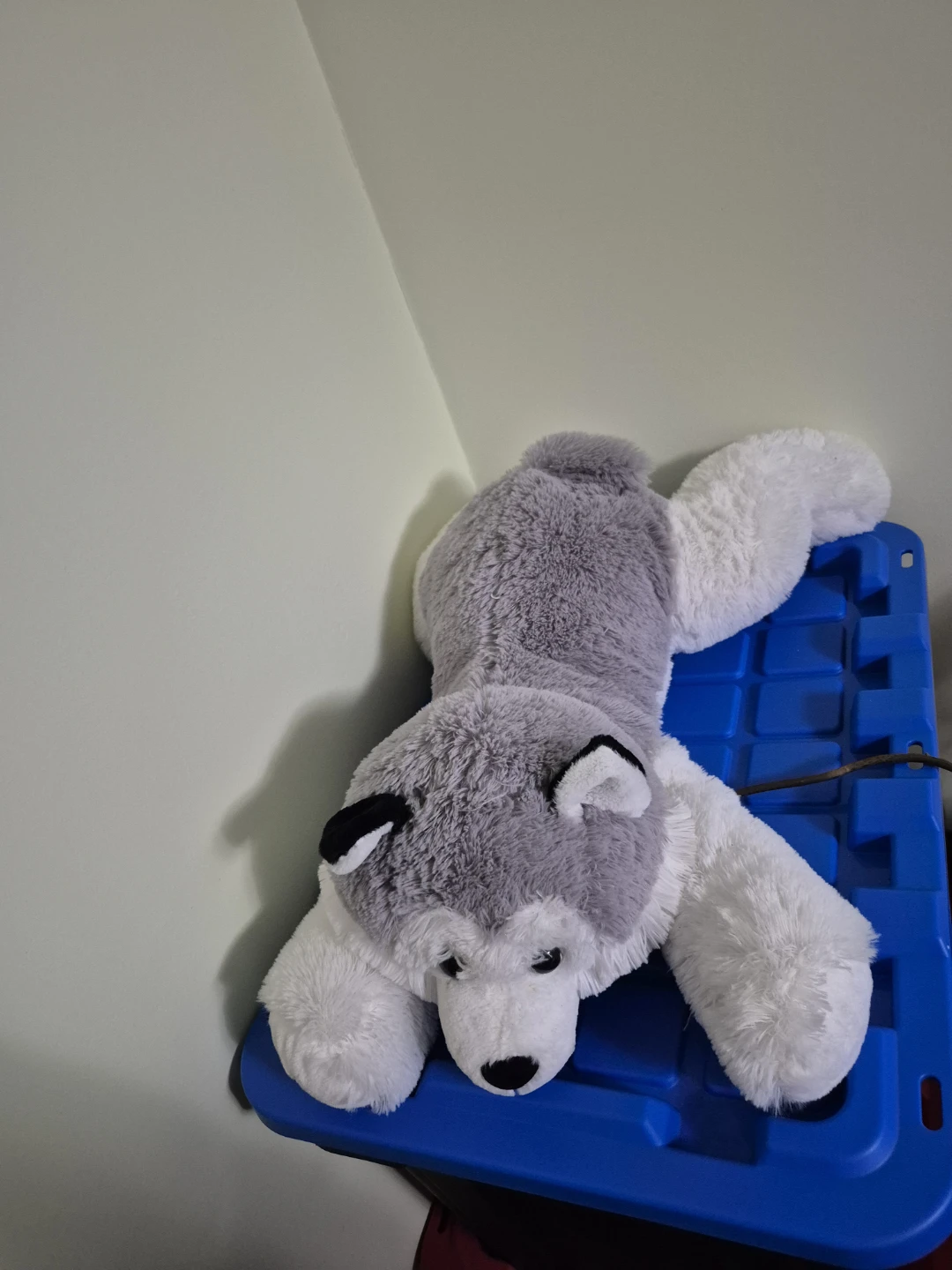 Plush Husky Stuffed Animal - photo 4