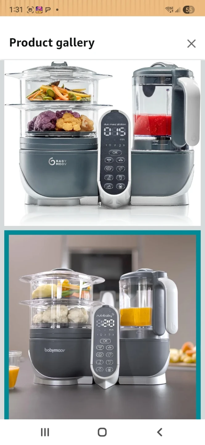 Food blender and steamer