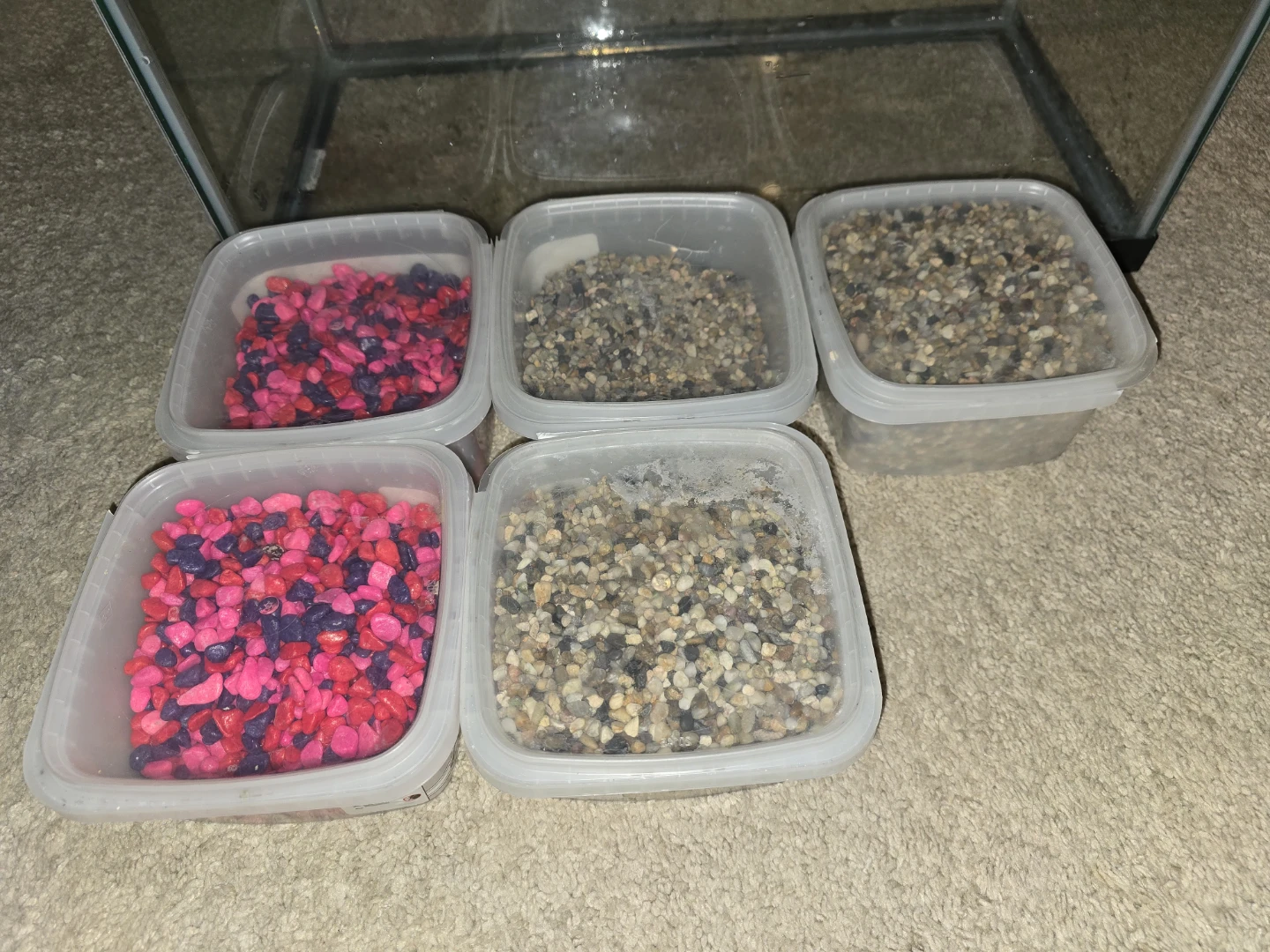 Aquarium Tank with Decor and Various Substrates. - photo 2