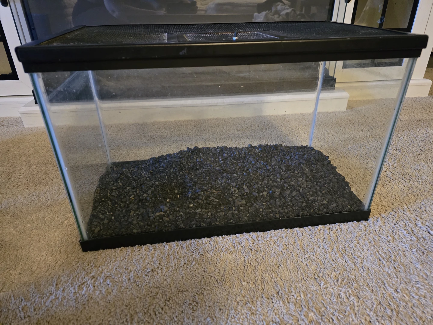 Aquarium Tank with Decor and Various Substrates. - photo 3