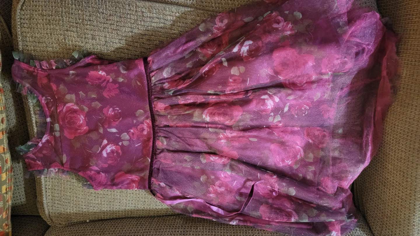 Girls' Sparkling Floral Mesh Party Dress size 7/8