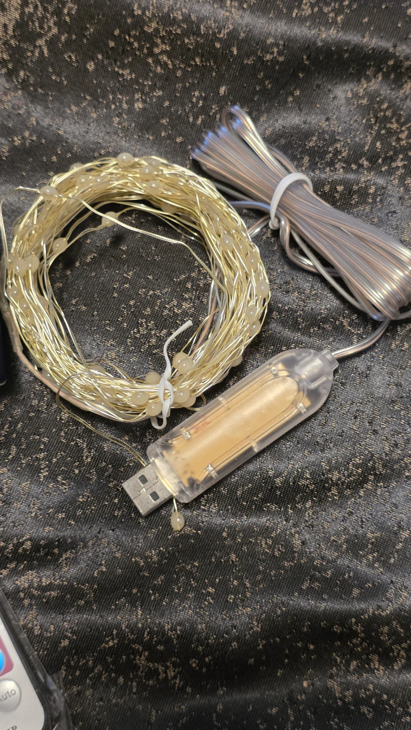 RGB 100 LED String Lights with Remote - photo 2