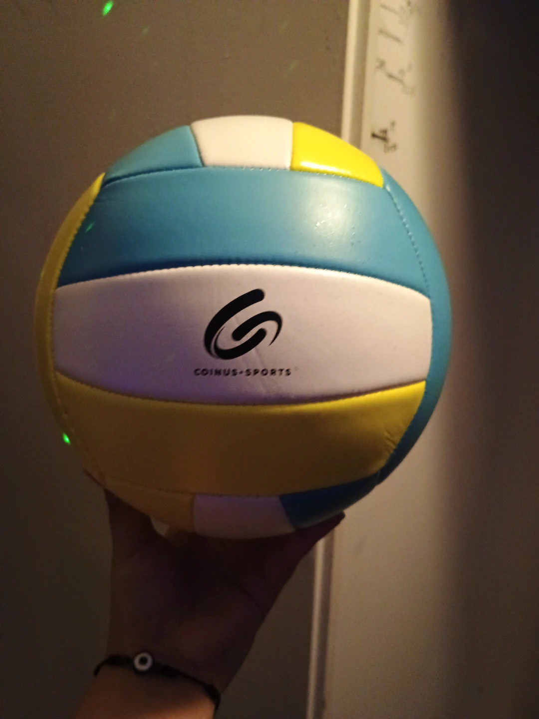 Coinus-Sports Volleyball