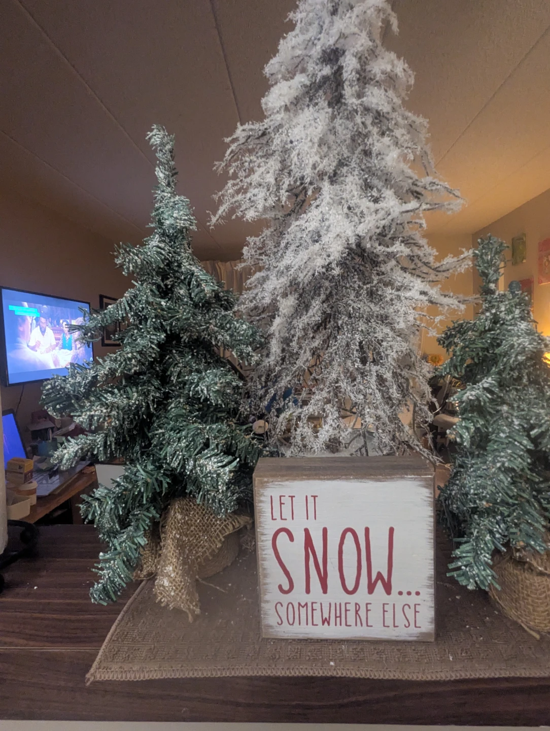 Set of 3 Winter Snow Trees 🧡 Decor 24"18"12" Let It Snow...sign