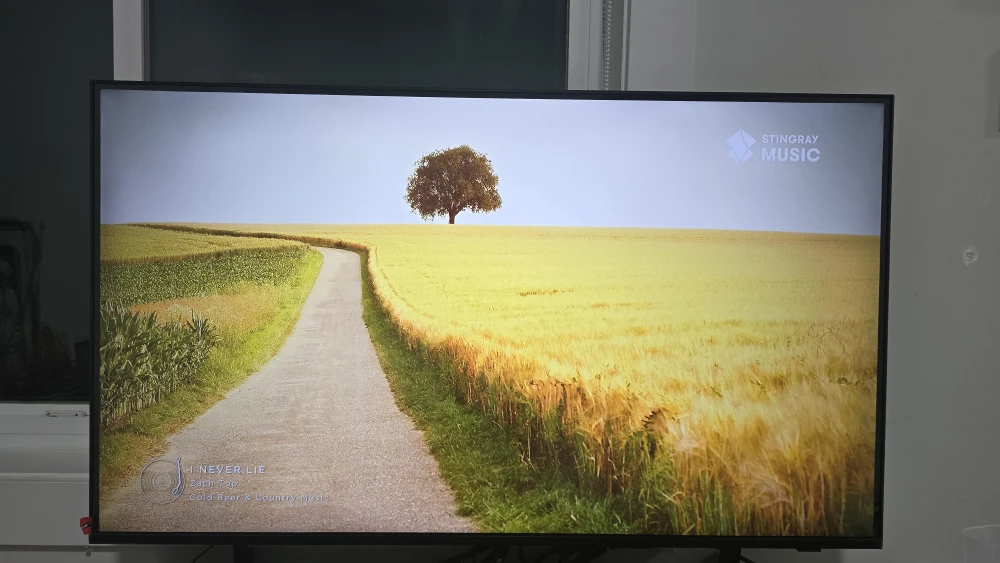 Samsung UN43DU6900F 43inch TV - photo 2