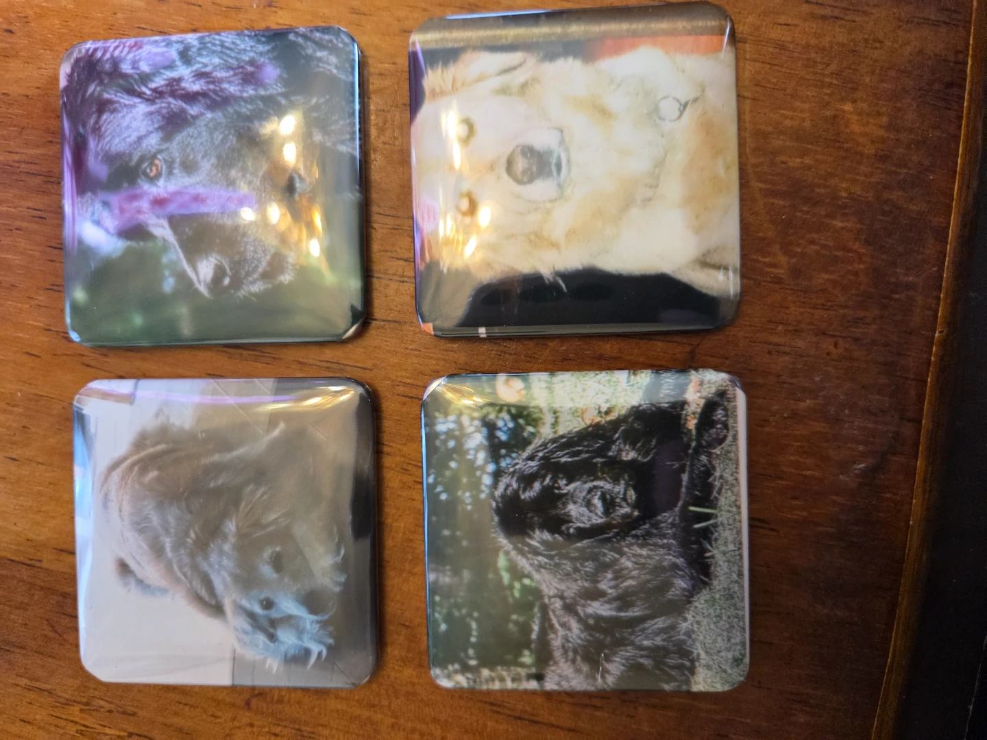 Collection of Decorative Square Magnets (Assorted Designs)