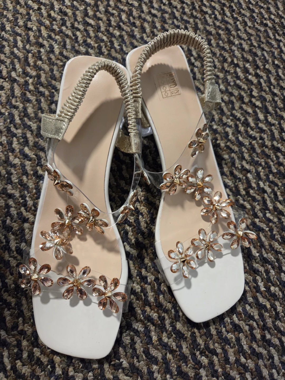 Steve Madden Women's Shoes