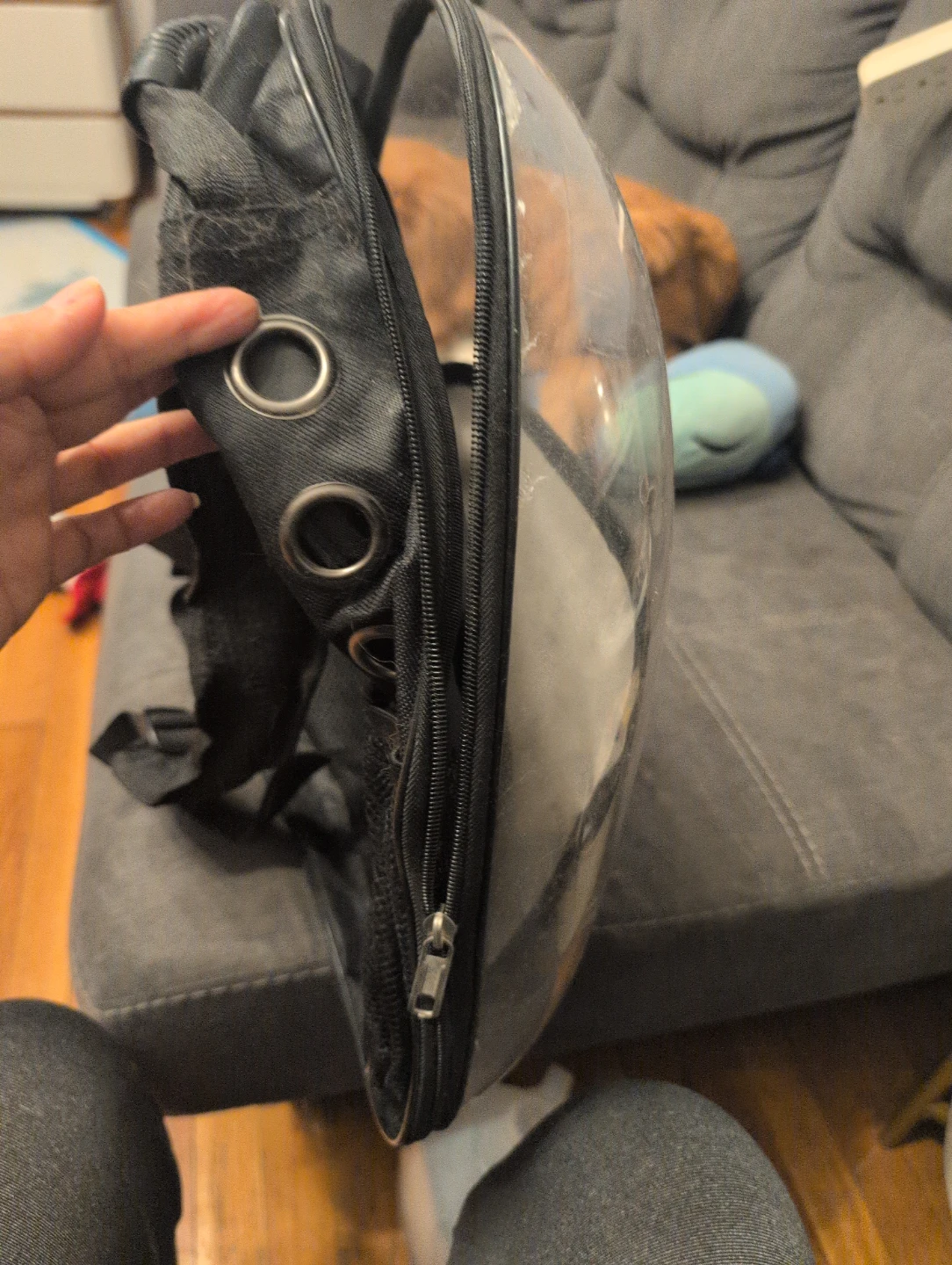 Clear Bubble Pet Carrier Backpack - photo 2