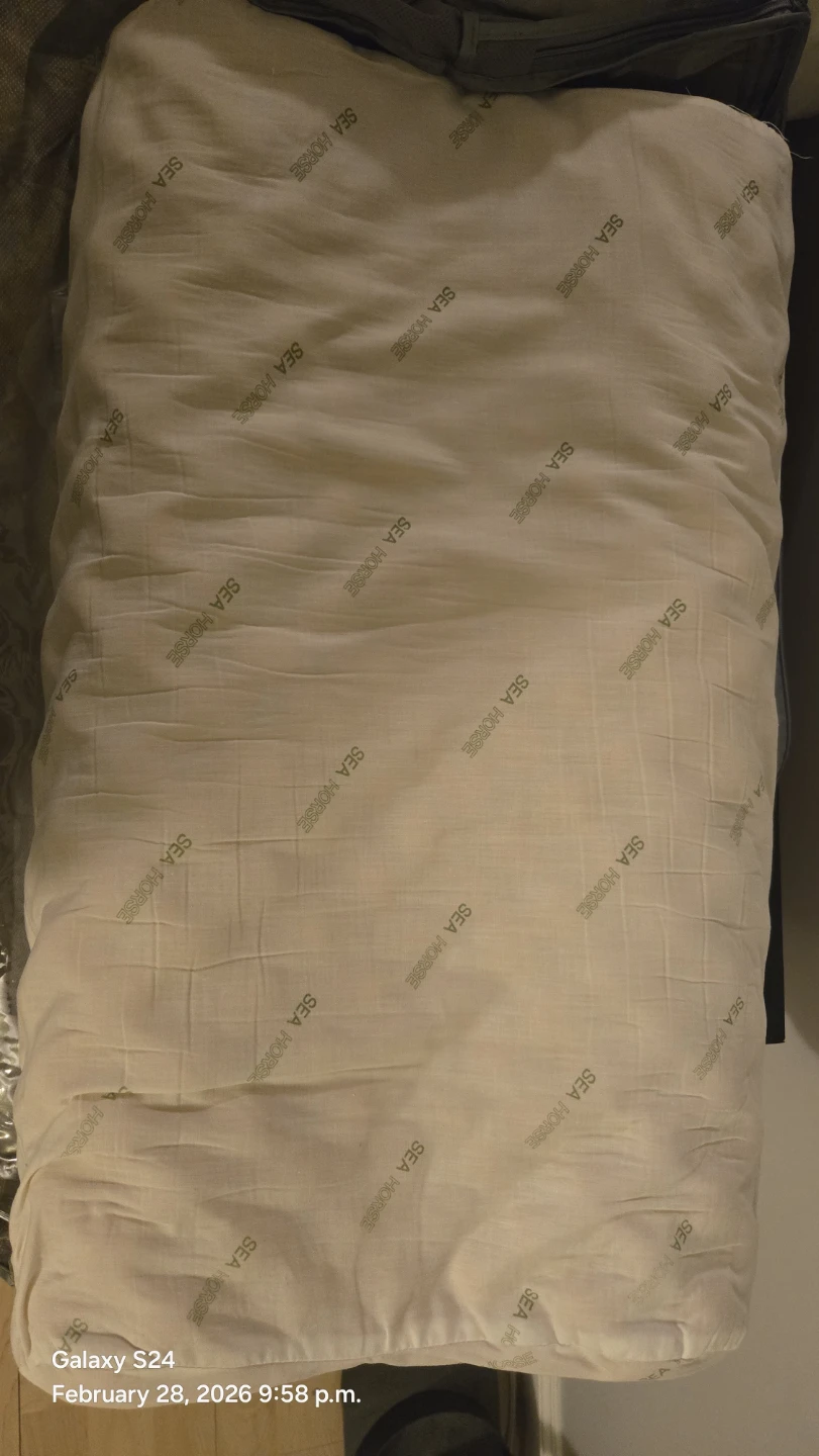 SEA HORSE memory foam pillow