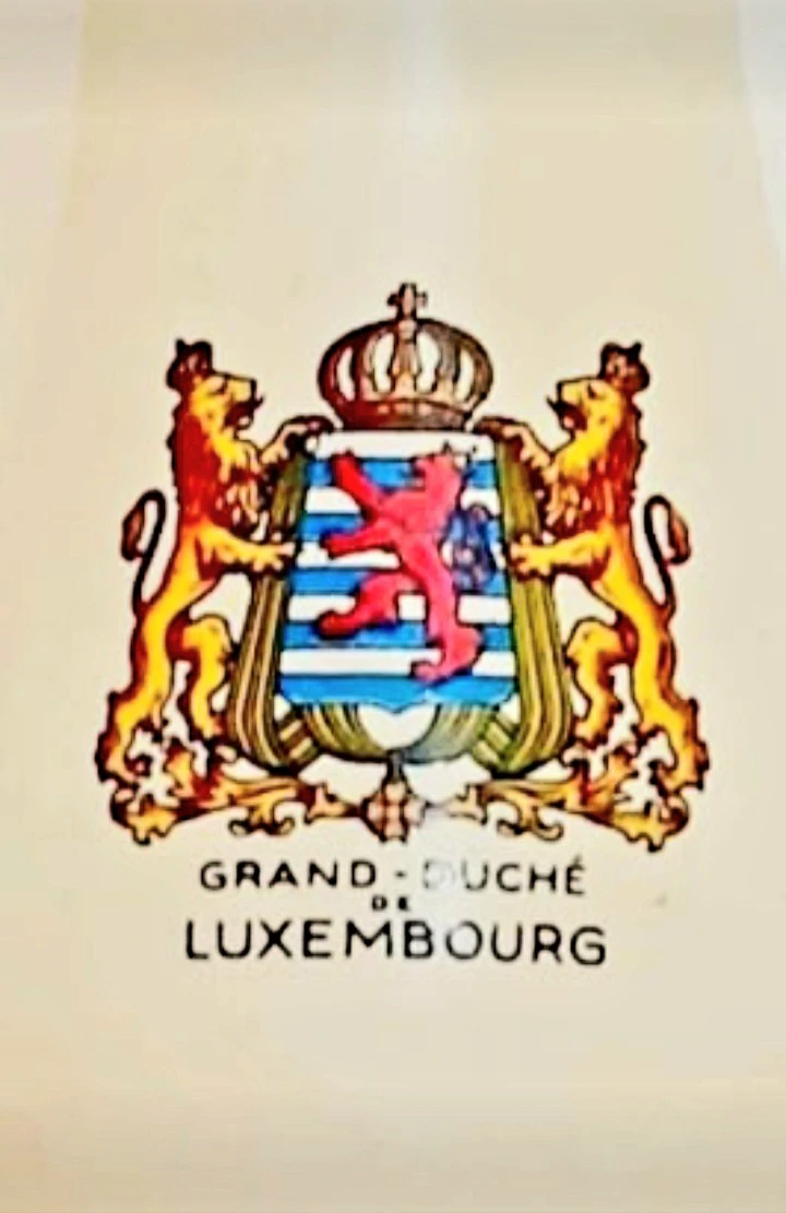 Vtg Luxembourg Vase - photo 5