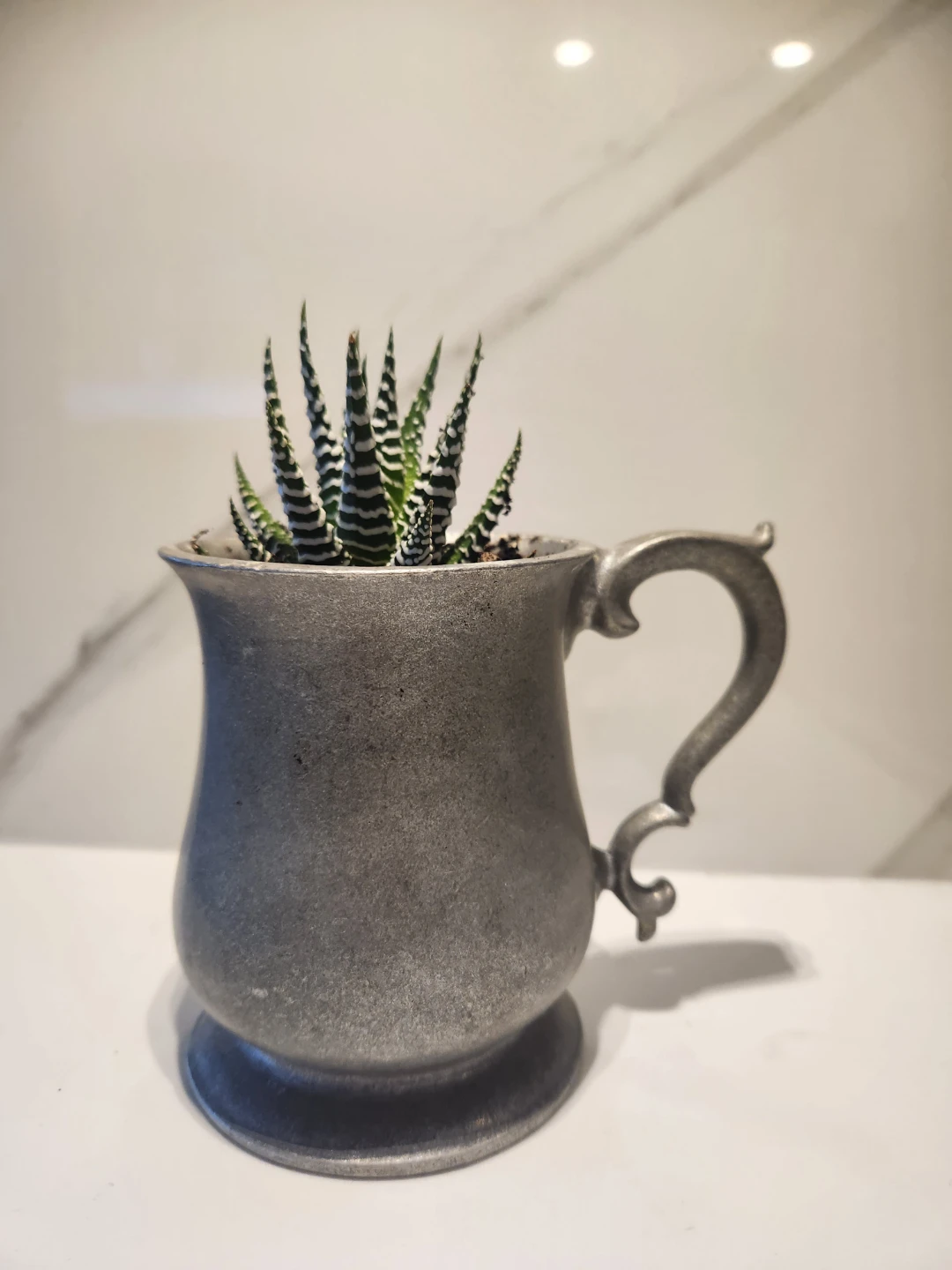 RWP Pewter Mug Planter with succulent