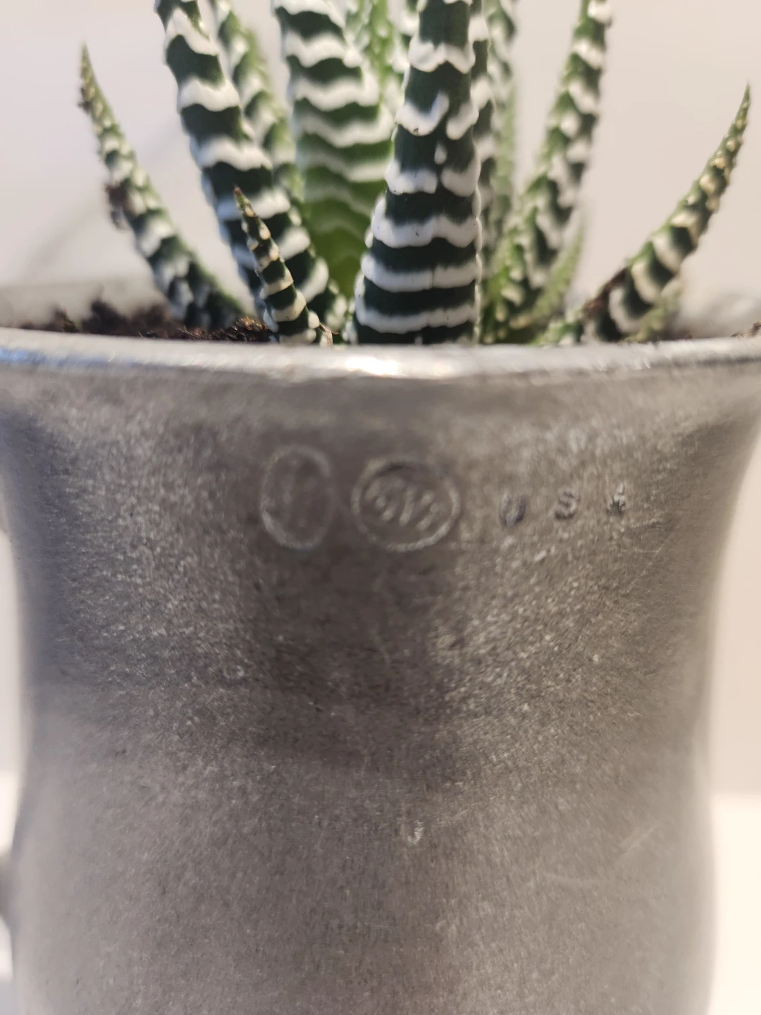 RWP Pewter Mug Planter with succulent - photo 3